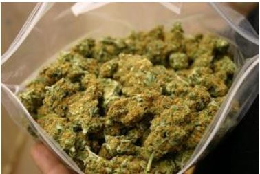 a_bag_of_cannabis
