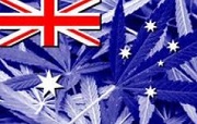 Medical Cannabis Bill Passes Parliament