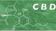 CBD cannabinoid