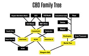 Decoded: The CBD Family Tree