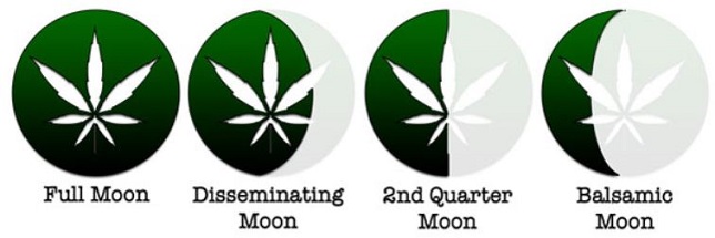 moon planting cannabis