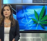 cannabis on the news
