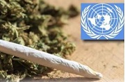 Commission Wants UN to Adopt Alternative Drug Policies