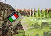 Medical Marijuana To Italy