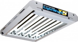 Best Grow Light For Big Yields?