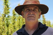 Nimbin hemp to be displayed in Sydney