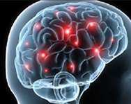 Marijuana Reverses Aging Processes in the Brain