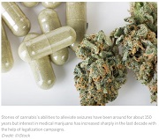 Scientific American: CBD may be effective treatment for those with drug-resistant epilepsy