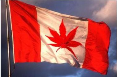 canadian cannabis flag