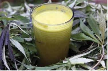 cannabis juicing