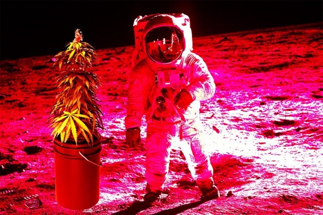 Lawless Mars Gets High.....er