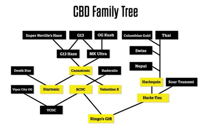 cbd tree