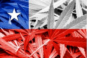 Chile’s President Signs Decree Removing Cannabis as a ‘Hard Drug’