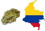 Colombia President Signs Order Legalizing Medical Cannabis
