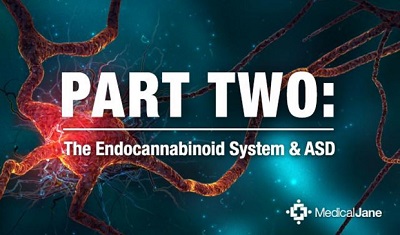 Phytocannabinoids in ASD