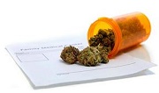 Study Finds Medical Cannabis Legalization Doesn’t Increase Youth Usage Rates