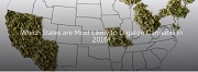 Marijuana Laws and Underage Use