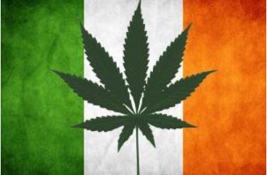 irish cannabis