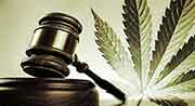 The Marijuana Justice Act