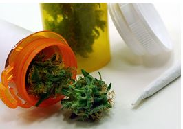 Marijuana flowers