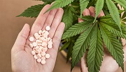 medical-cannabis-pills