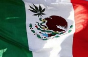 Mexico to Open Debate on Use of Marijuana