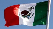 mexico flag with cannabis leaf