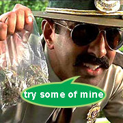 cannabis police